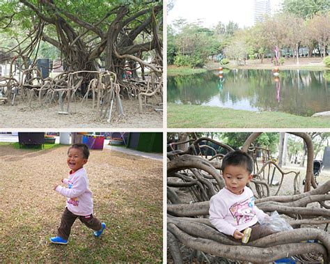 樹可以做什麼|在公園,與樹相遇